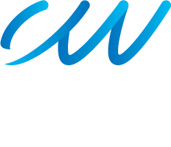 customwebsites logo footer